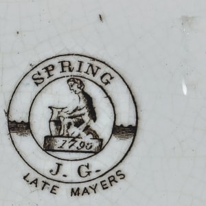 Spring by James Gildea 