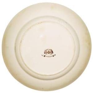 Stella by William Brownfield & Son(s) 
