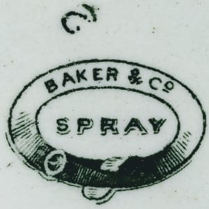 Spray by Baker & Co. 