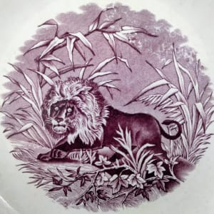 Madras by Thomas Booth & Son 