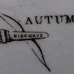Autumn by Ridgways