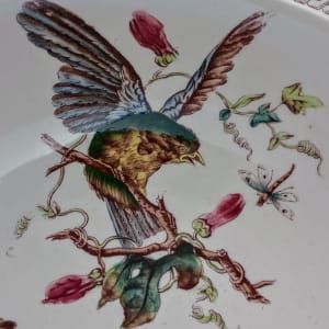 Unnamed (Birds & Bugs) by Thomas Furnival & Sons 