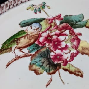 Unnamed (Birds & Bugs) by Thomas Furnival & Sons 