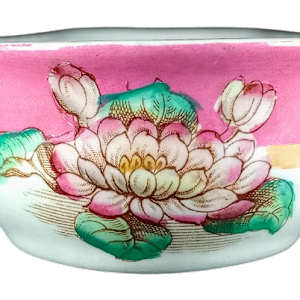 Goldfish by Thomas Booth & Co., Image 8.