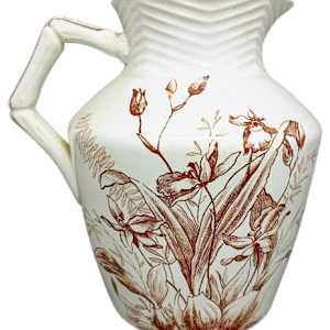 Orchid by F. J. Emery