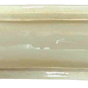 Blossom by T. G. Booth, Image 7.