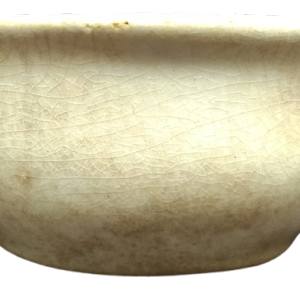 Blossom by T. G. Booth, Image 11.