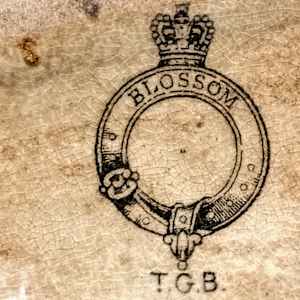 Blossom by T. G. Booth, Image 14.
