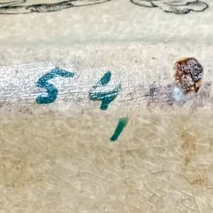 Blossom by T. G. Booth, Image 15.