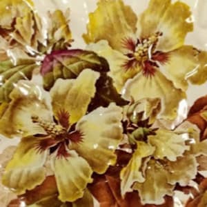 Kew by Brown-Westhead, Moore & Co.  Image: Detail