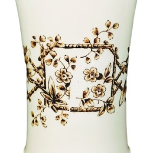 Passion Flower by J. F. Wileman