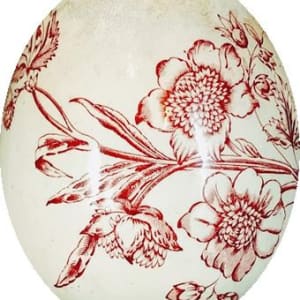 Carnation by Holmes & Plant 