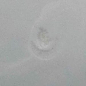 Unnamed (Whimsical Scene) by George Jones & Sons 