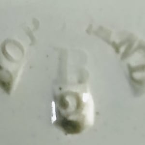 Unnamed (Wild Birds) by W. T. Copeland & Sons 