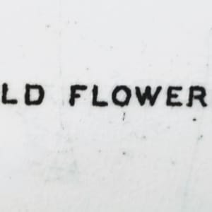 Wild Flowers by Sampson Hancock 