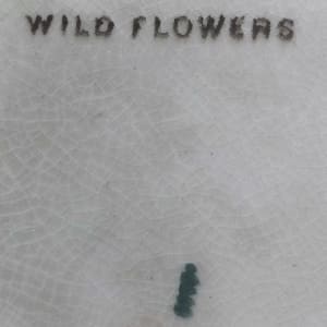 Wild Flowers by Sampson Hancock 