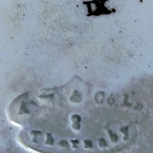 Unnamed (Wild Roses) by George Skinner & Co. 