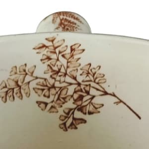 Windsor by W. & S., Image 10.