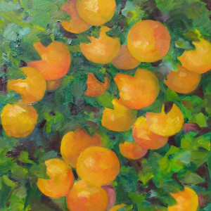 Florida Bounty by Kit Hoisington