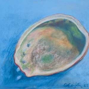 Abalone by Cyndi Gonzalez