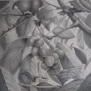 Cherries by Cynthia Gonzalez, Image 2.