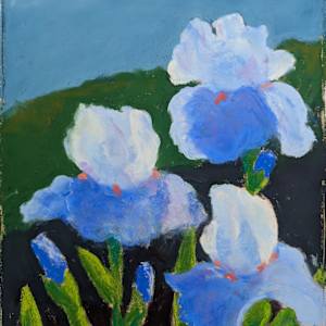 True Patriot Irises by Cynthia Gonzalez, Image 1.