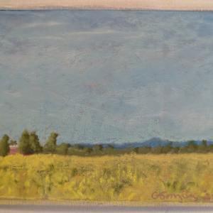 Mustard by Cyndi Gonzalez