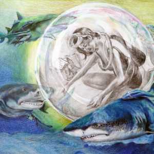 More Than Just Sharks by Allie Quan