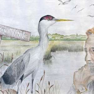 Wetland Grace by Cora Dooley, Image 1.
