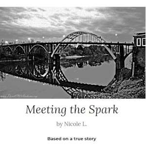 Meeting the Spark by Nicole Link