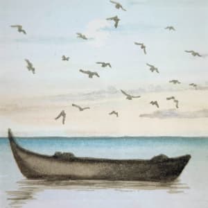 Birds by Jake Kieger