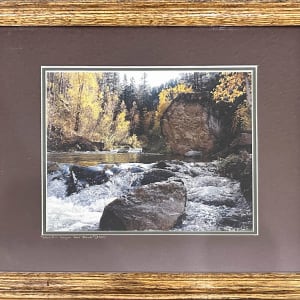 Spearfish Canyon Goes Blonde by Heidi Watson
