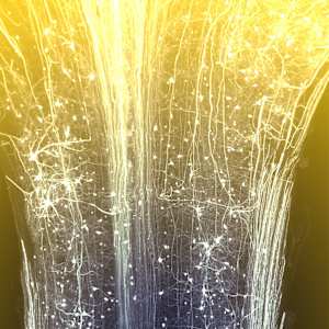 Out of the Void (Part 2) by Gina Gibson