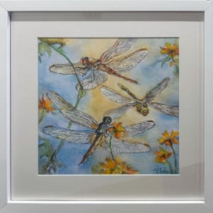 Dragonfly Dreams by Susan Drey