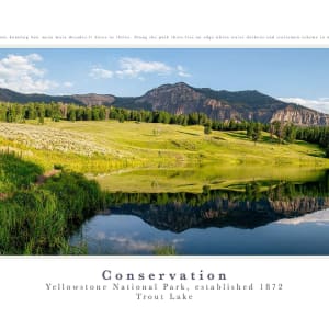 Conservation: Trout Lake -Yellowstone National Park by Christine Garceau