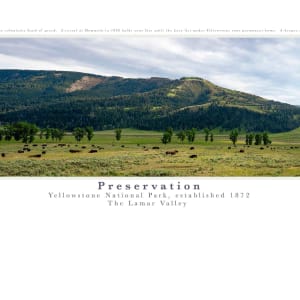 Preservation: The Lamar Valley - Yellowstone National Park by Christine Garceau