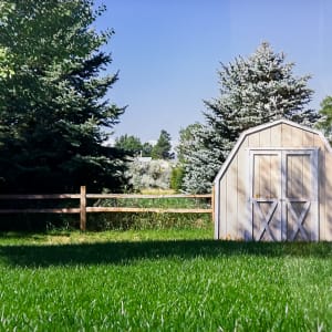 Seasons of the Shed - Summer by Rylan Bruns