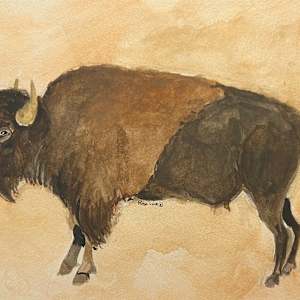 Buffalo by Rosa Link
