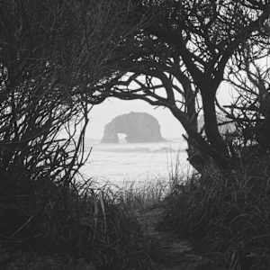 Rockaway Through the Trees by Marissa Casper