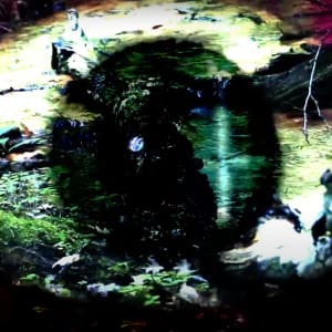 Eye Thorn Forrest by Katina Bitsicas