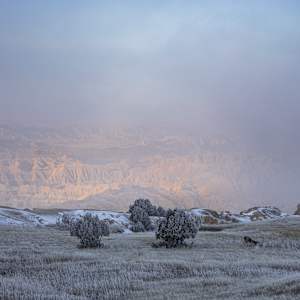 Hiding Behind the Fid by Sierra Hoop