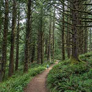 Grounded by Sierra Hoop