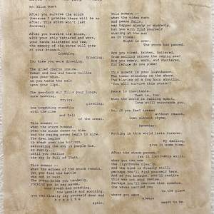 After the Storm by Eliza Dosch 