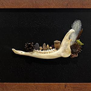 Nature's Attic by Pinecone Boneworks