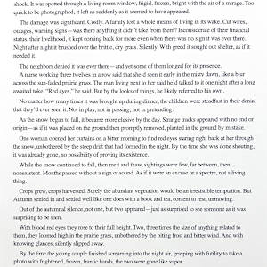 Red Eyes by Elizabeth Mattson