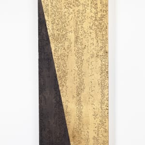 Diagonal by JOYCE BILLET 