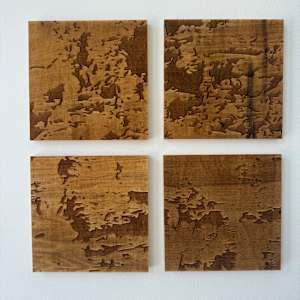 Raw Curves 1 by JOYCE BILLET 