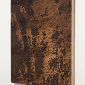 Bark I by JOYCE BILLET 