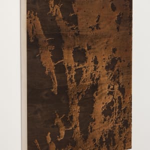 Bark I by JOYCE BILLET 