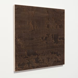 Laced Bark by JOYCE BILLET 